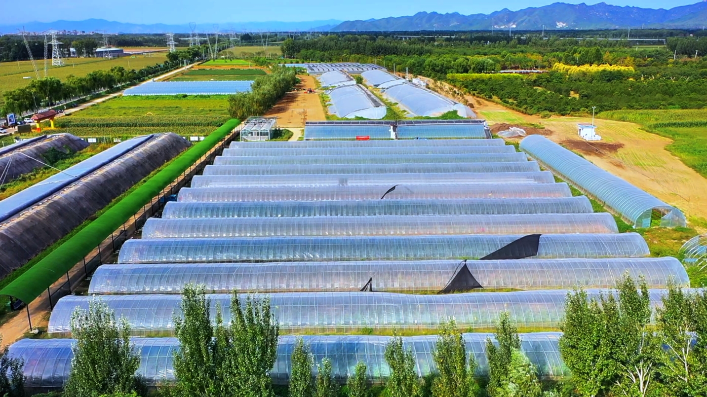 微信截图_20250509100728